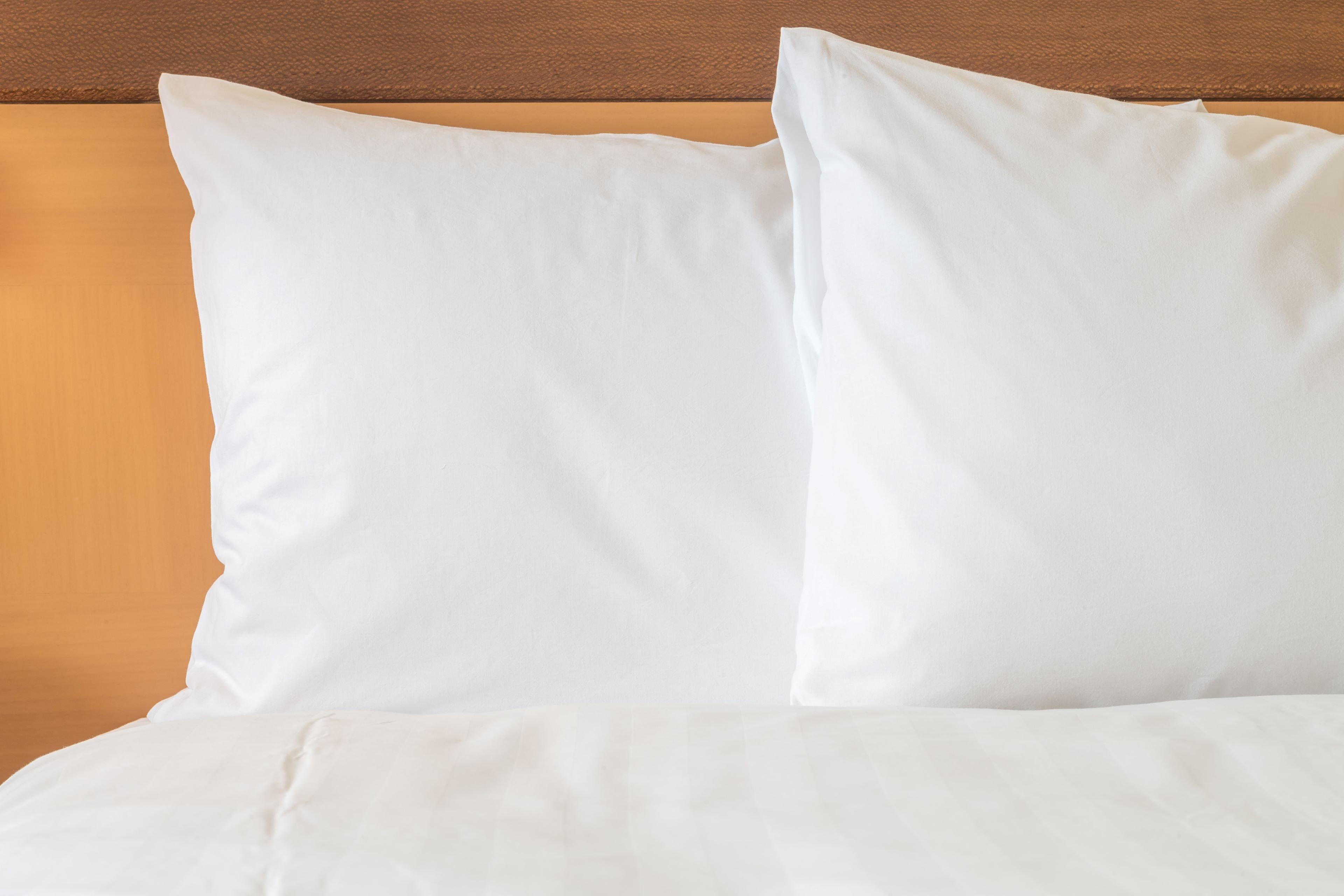 Holiday Inn Express & Suites Ripley By Ihg Luaran gambar